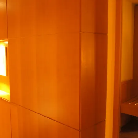 酒店 波尔图盖亚美居酒店 4*